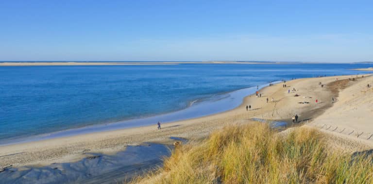 la-teste-de-buch-campings-bassin-d-arcachon
