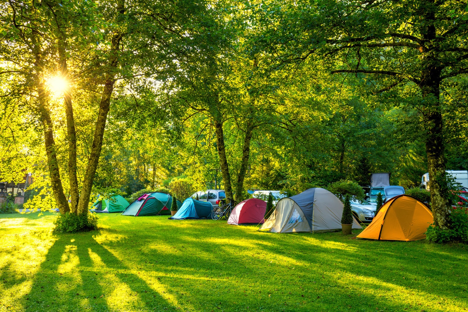 Tentes dans un camping sous les arbres