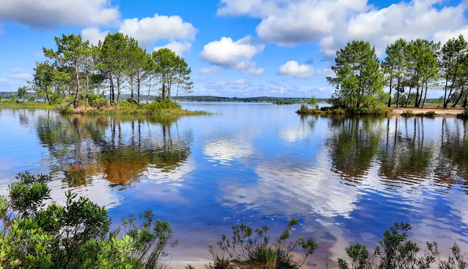 Reflets des arbres sur le lac de Lacanau un jour d’été ensoleillé